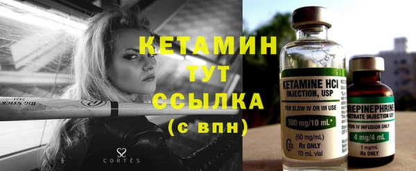 прущие грибы Дмитровск