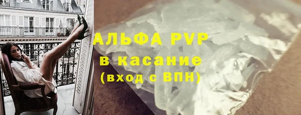 прущие грибы Дмитровск