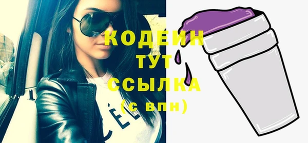 прущие грибы Дмитриев