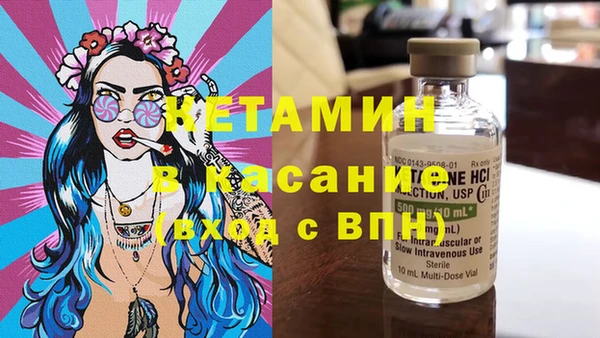 прущие грибы Дмитровск