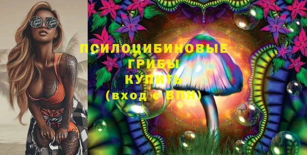 прущие грибы Дмитриев