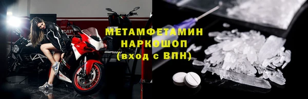 прущие грибы Дмитровск