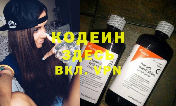 прущие грибы Дмитриев