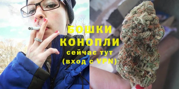 прущие грибы Дмитриев