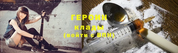 прущие грибы Дмитриев