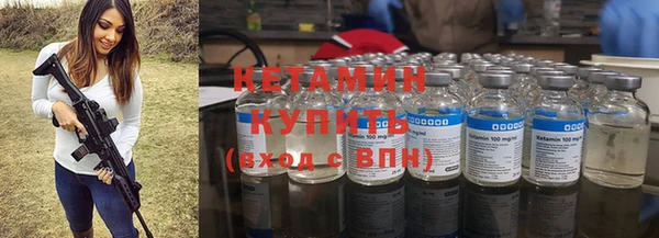 прущие грибы Дмитровск