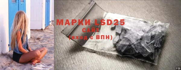 прущие грибы Дмитриев